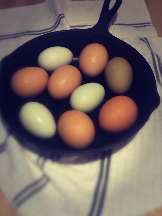 Cast Iron and Eggs